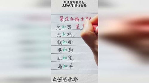 最佳属相搭配表(十二属相搭配什么最旺财,和属什么生肖婚配最好)