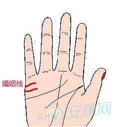 掌纹算命生辰八字详解女(女性看掌纹算命图)