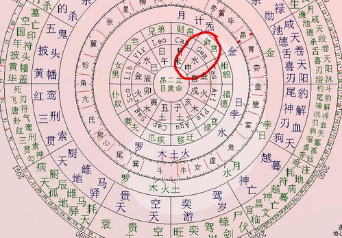 命宫为紫微庙代表什么意思(紫薇命盘)