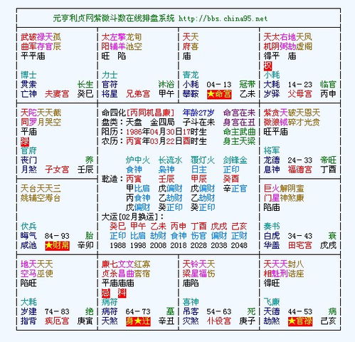 紫薇紫微斗数排盘(为什么紫薇斗数排盘不一样)