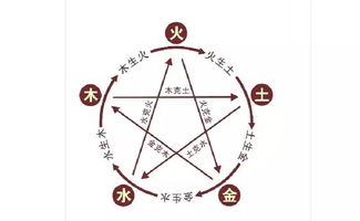 数理化与阴阳五行的关系(五行与数字有什么关系 )