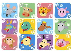 最佳婚配属相属兔马女人(属兔的和什么属相最配 属马女生排第一位 )