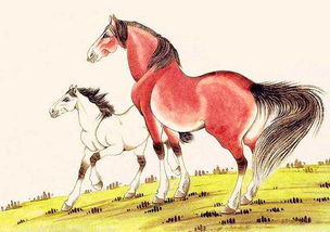 属马的属相婚配表1990属马人(90属马的属相婚配表,90年属马的属相婚配表)