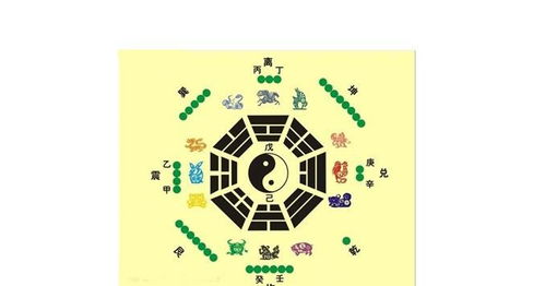 紫微坐午守命宫(紫微斗数富贵格局 极向离明格)