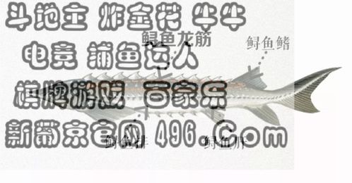 最准的12生肖配对表鸡(属鸡的和什么属相最配,属鸡男的和什么属相最配 相克)