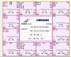 紫微星盘12盘(紫微星盘详解)