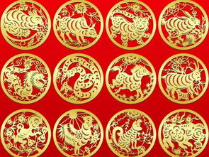 86年属虎最佳婚配属相(1986虎年最佳婚配属相,86年农历五月初三属虎的属相婚配表)