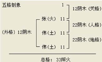 名字数理五行打分(名字五行测试打分)