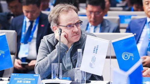 国字数理属什么(国字五行属什么国字取名怎么起)