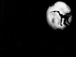 五格数理分析详解(姓名五格数理81数吉凶详解 1—40数)