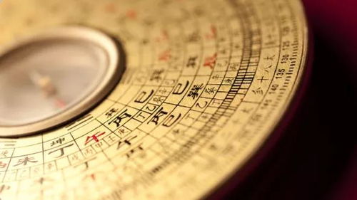 命宫在寅紫微星怎么看(紫薇命盘怎么看,帮帮忙,有分)