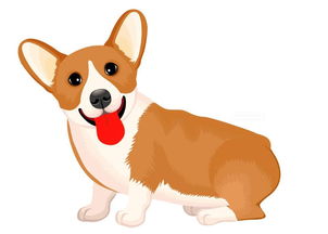 生肖狗的最佳婚运男女属相(狗和什么属相最配)