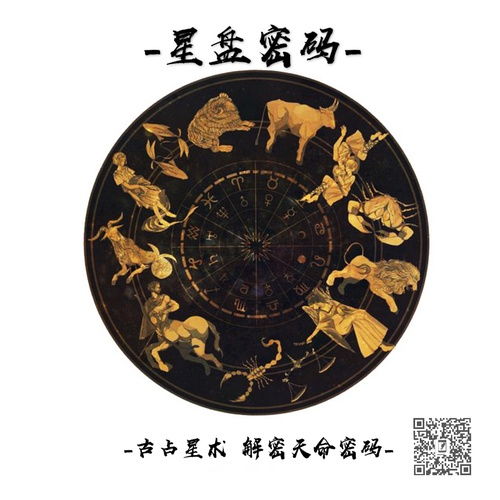 数理十三画的字(氵字旁十三画的字有哪些)