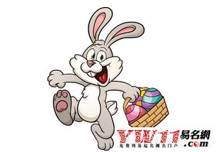 属兔女的和什么属相配对好(哪个属相和属兔女人最佳婚配)