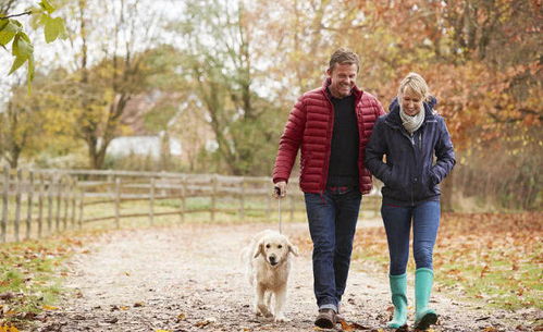 生肖猪的配合属相(属猪人的贵人属相)