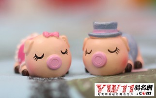 猪男姻缘配对属相婚配表(男猪最佳婚配属相,属猪人男可以与什么属相相配)