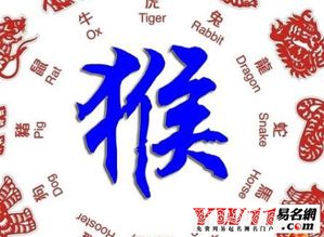 68年属猴女属相婚配表(68年的女猴和什么属相结婚最好)