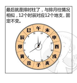 学看八字算命学校(八字初学者怎样看八字,八字应该怎样看 )