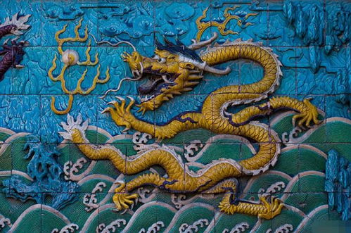 大龙小龙的属相配对是什么(数大龙的和属小的婚配吗,大龙和小龙属相配吗)