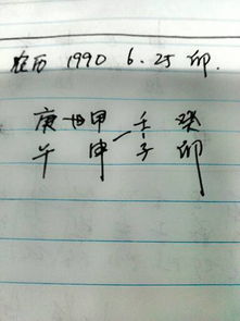 农历6月可以算命吗八字(八字算命农历1982年6月19日下午六点女性)