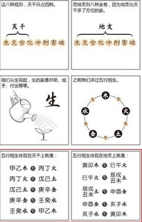 八字算命大师骗局揭秘图片(女子轻信 算命大师 被骗财骗色,这些骗子是怎么成为大师的 )