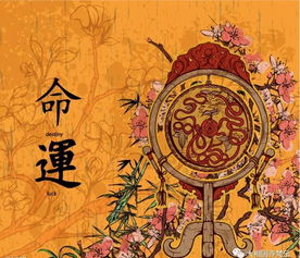 命宫武曲天相官禄紫微(紫微十四主星之武曲星)