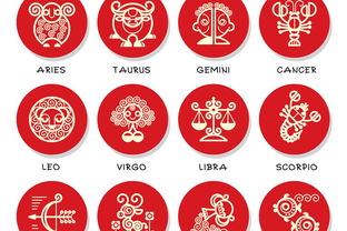 属兔的生肖配对表大全(兔的最佳配偶属相)