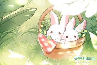 87属兔婚配最佳属相(87年属兔的最佳配偶是属什么的)