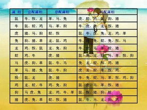 77年鼠女的婚配属相配对(十二生肖配对婚姻配对查询,属相生肖配对姻缘查询 )