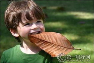 五格数理在线查询(在线名字测分)