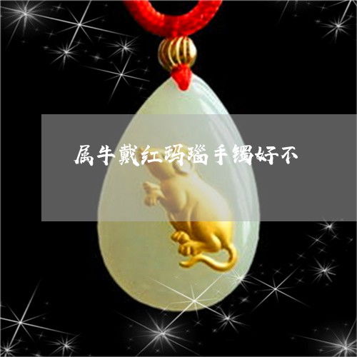 可以带自己属相的生肖手镯(可以戴自己同属相的配饰吗,为什么不能戴自己生肖)