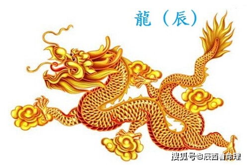 最旺生肖龙的属相(属龙的和什么属相最配旺运属相龙和什么属相最合)