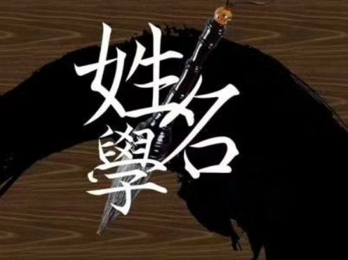 姓名数理里面总格(天格地格人格外格总格是什么意思)