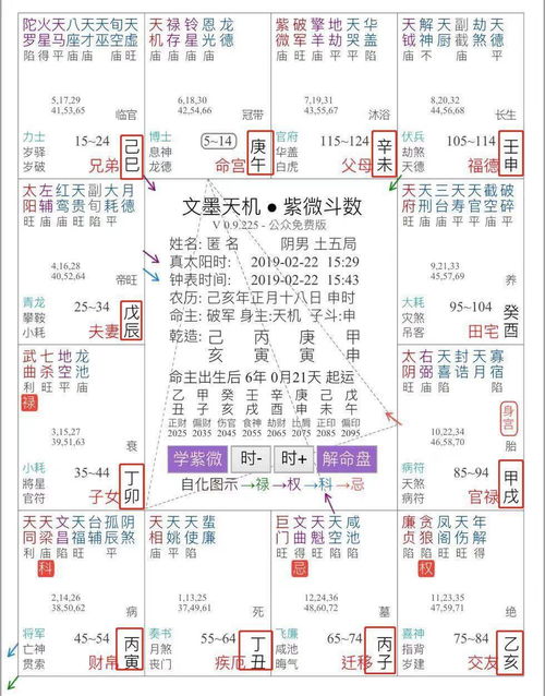 命宫在亥紫微在酉(请帮我解读一下紫薇命盘,谢谢 )