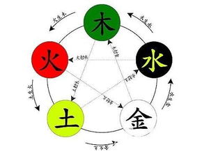 红数理五行属什么(数理五行是什么)