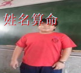 名字数理就是笔划吗(起名中数理是什么)