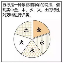 闰月如何定紫微盘(闰月紫微排盘按当月还是下个月算 )