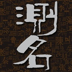 公司五格剖象法数理分析(五格计算)