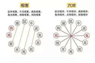 天生吵架的属相表(在一起容易吵架,家庭不和的生肖配对是什么 )