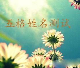 姓名学五格数理笔画计划(姓名五格计算方法)