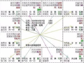 什么是紫微斗数中的对宫(紫薇斗术)