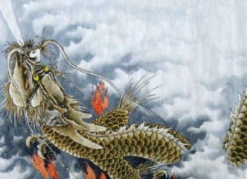 龙的妻子有几个生肖属相(属龙女人最佳配偶属相)