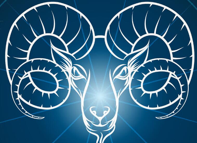 一定会成功和性格高冷不爱社交的星座