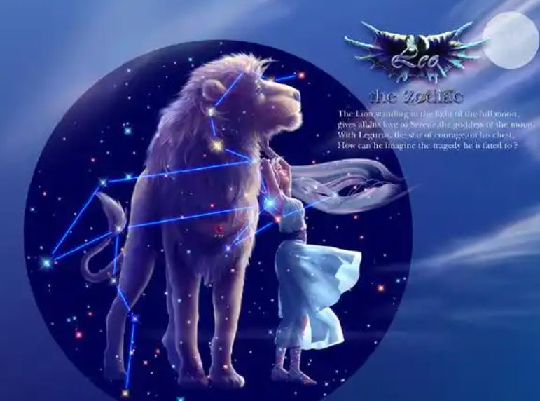 哪些星座注定事业有成和宠爱猫咪的星座男