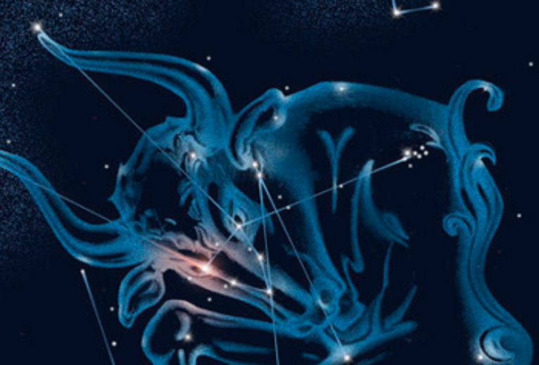 天秤座男生喜欢什么礼物和处女座男生爱情观